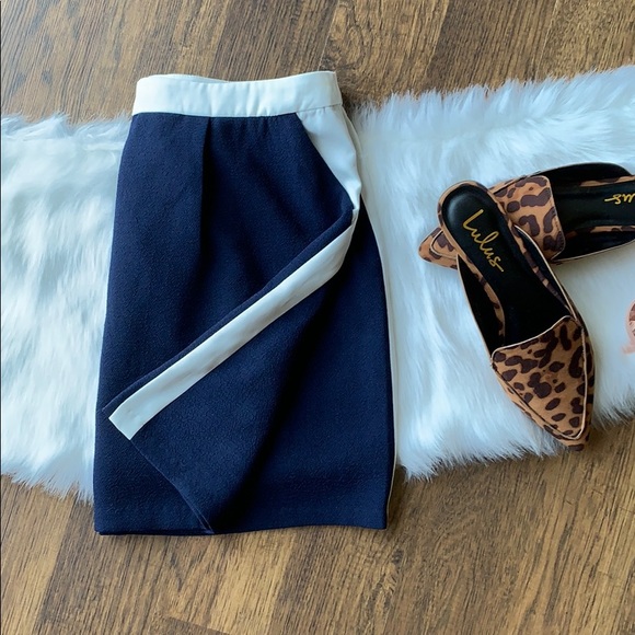 ⭐️Blue & White Skirt. Zipper in back. Medium. Cute. Not very stretchy. - Picture 2 of 5